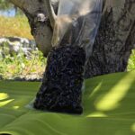 Olive Nere Alla Calabrese